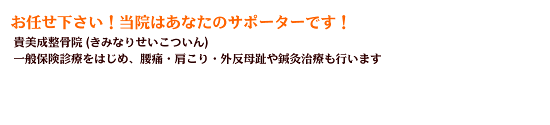 貴美成整骨院 (きみなりせいこついん)一般保険診療をはじめ、腰痛・肩こり・外反母趾や鍼灸治療も行います